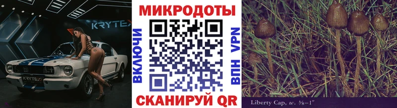 Псилоцибиновые грибы GOLDEN TEACHER  хочу наркоту  Новочеркасск 